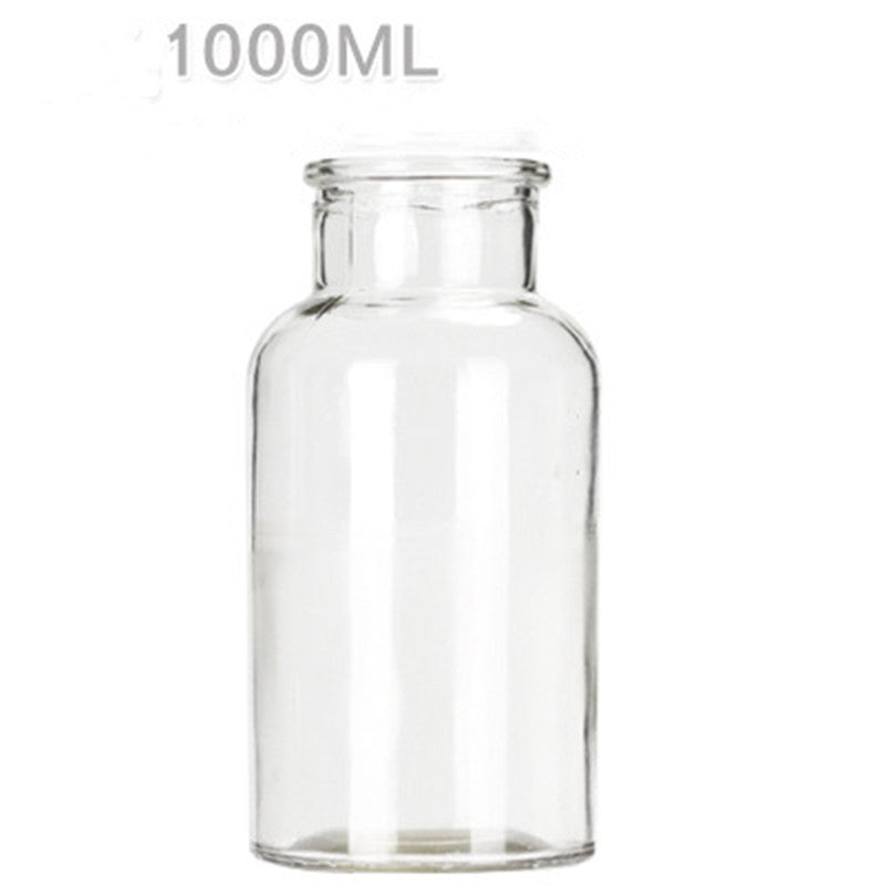 Hydroponic Plant Glass Bottle Living Room Decorations