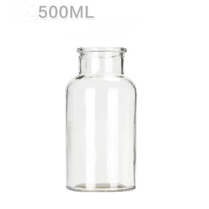 Hydroponic Plant Glass Bottle Living Room Decorations