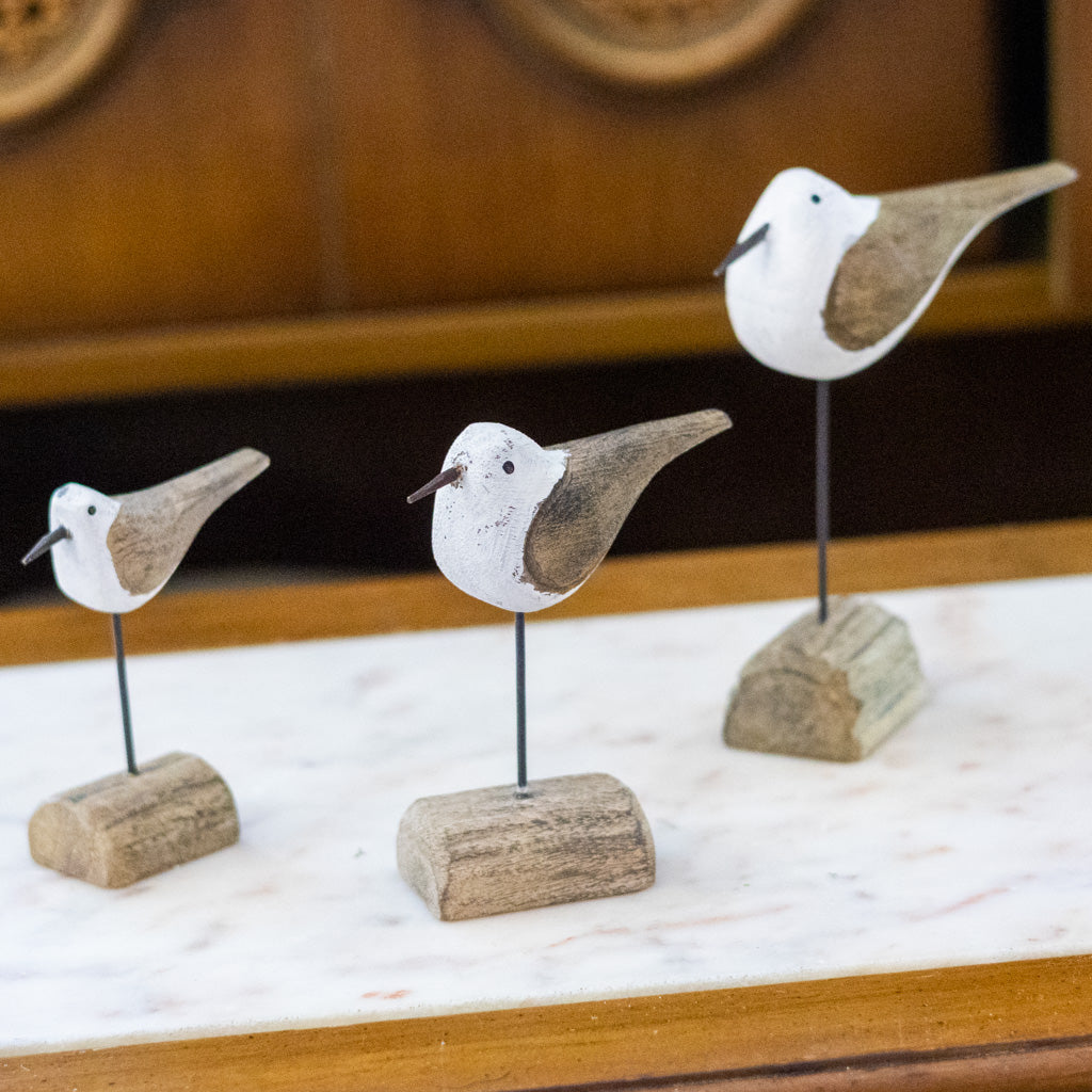 Medium Seagull on Driftwood