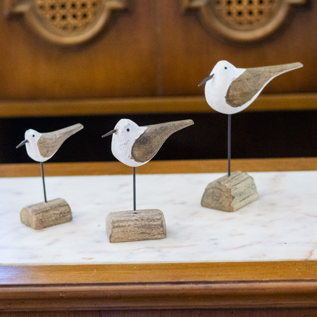 Medium Seagull on Driftwood