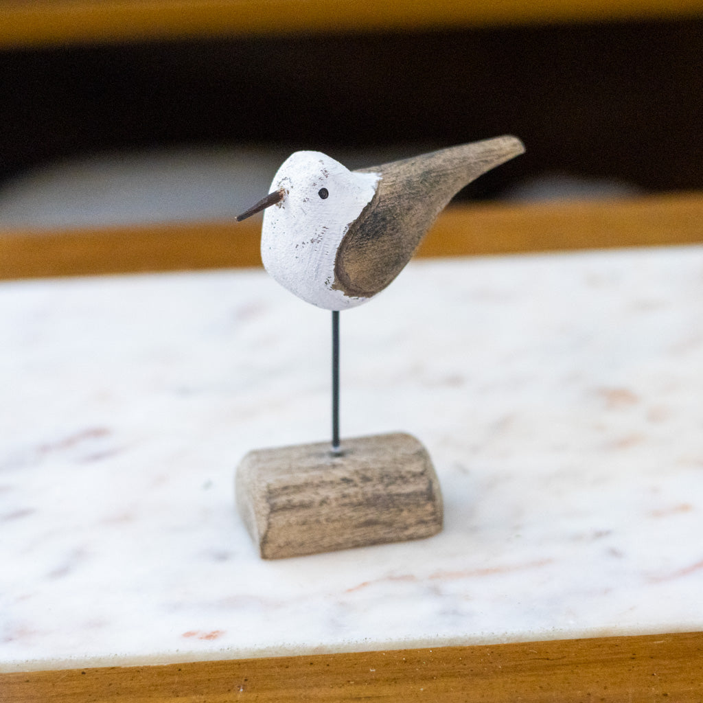 Medium Seagull on Driftwood