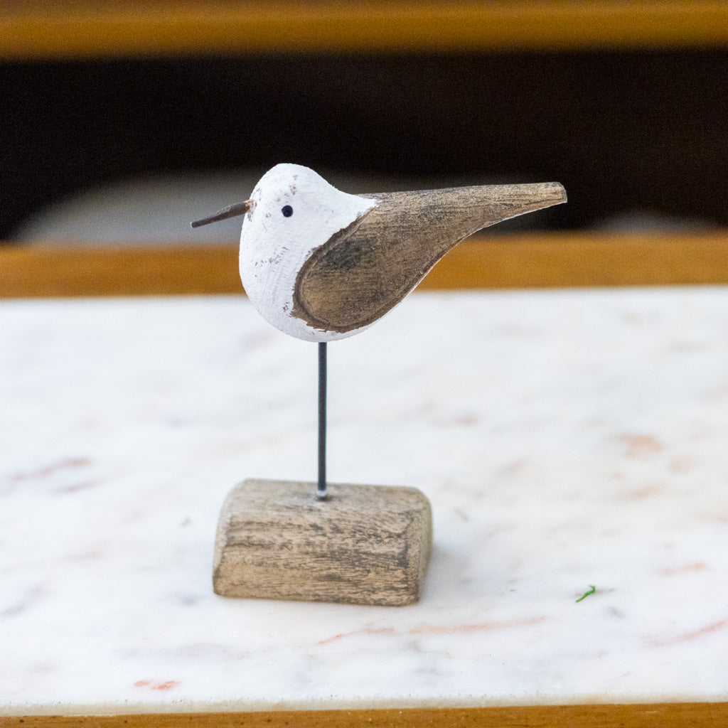 Medium Seagull on Driftwood