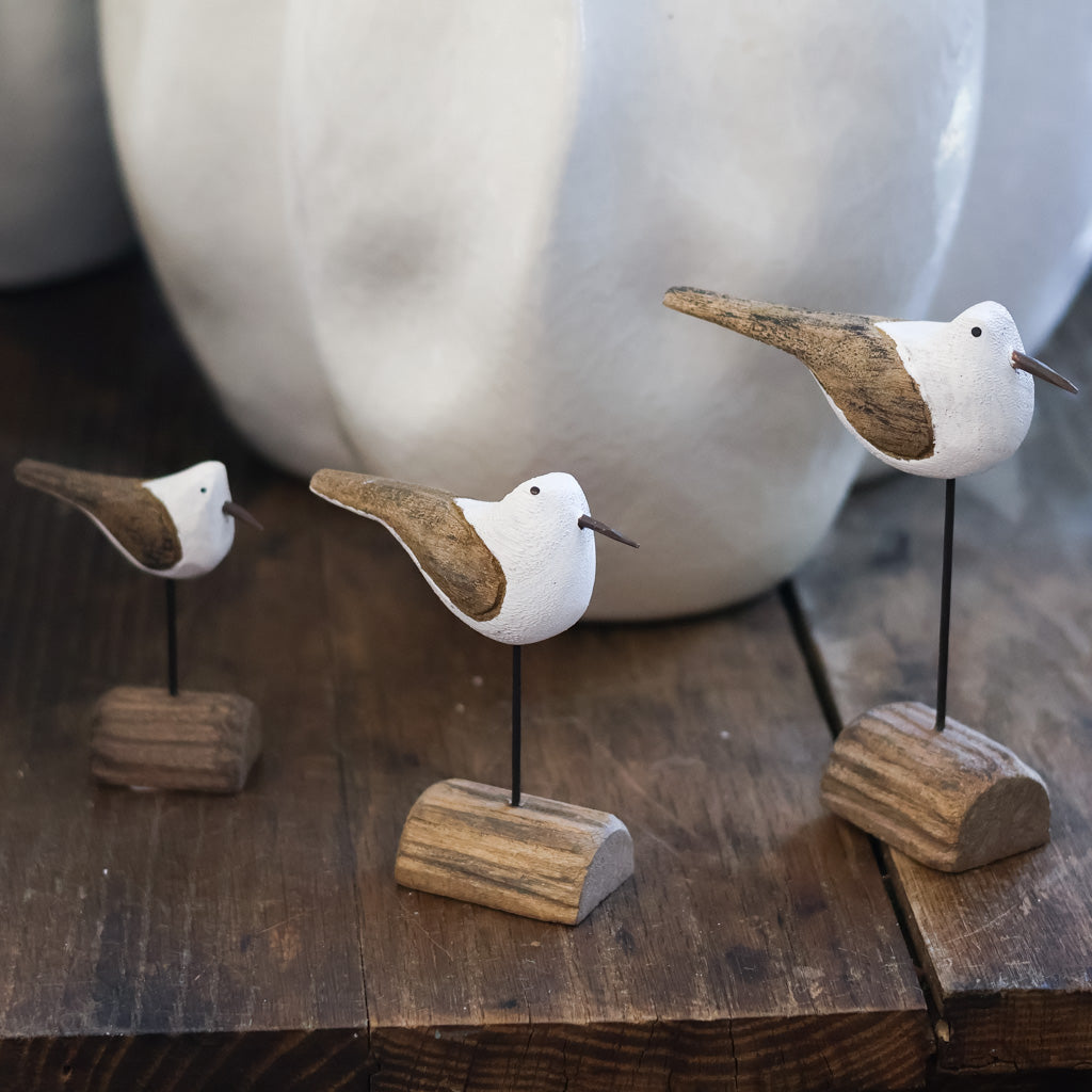 Medium Seagull on Driftwood