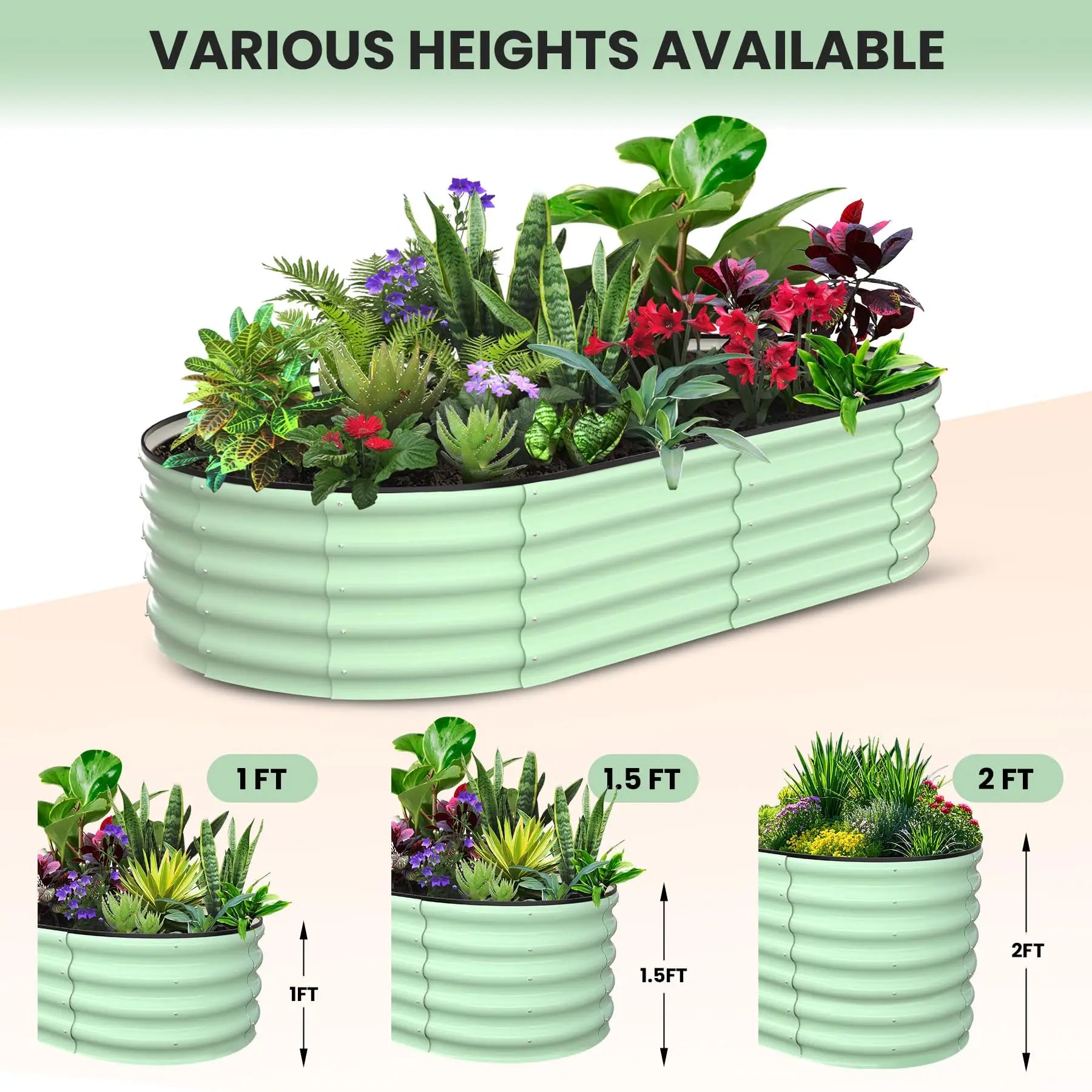 2-Pack Oval Galvanized Steel Raised Garden Bed | Metal Planter Box for Vegetables, Flowers & Herbs