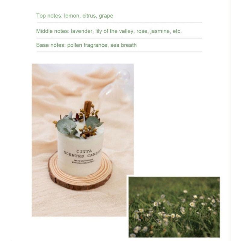 Natural Soy Wax Aromatherapy Pillar Candles
