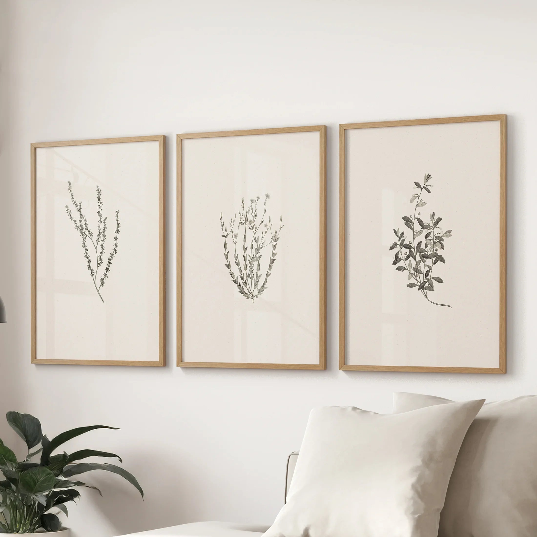 Vintage Botanical 3 Piece Wall Decor. Rustic Dried Flower Prints